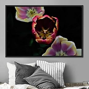 signwin Framed Canvas Wall Art Flora Snapshot Closeup...