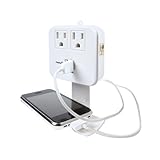 Master Electrician CT-023 2-Outlet Surge Tap With 2 USB Ports White