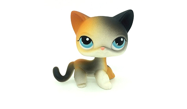 lps rainbow cat