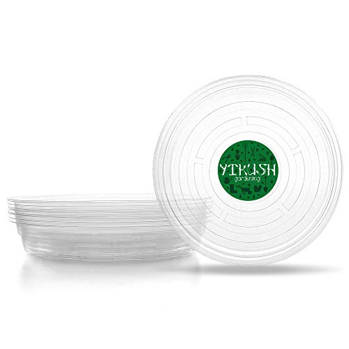 YIKUSH Clear Plant Saucers 10 Inch 6 Pack Flower Pot Tray Excellent for Indoor & Outdoor Plants (6, 10 Inch)