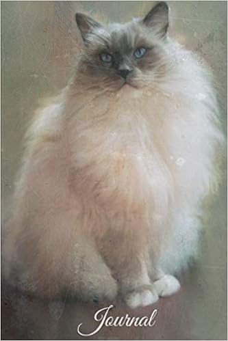 Cat Journal 6x9 120 Page Lined Journal With Pastel Drawing By