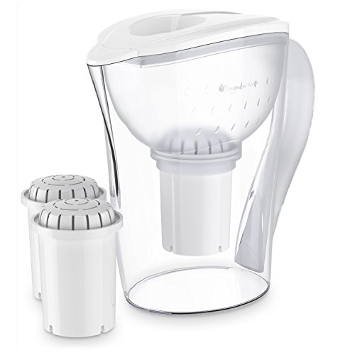 pH RESTORE Alkaline Water Pitcher Ionizer With 2 Long-Life Filters - Water Filter Purifier - Water Filtration System - High pH Alkalizer Machine, Enhanced 4th Gen. Model, 118oz, 3.5L (White) Home & Kitchen, Kitchen & Dining, Water Coolers & Filters, Pitcher Water Filters