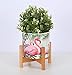 Ceramic Plant Pot Small Planter Flamingo Flower Pot with Wood Plant Stand Plant Pot Holder, 4.3 