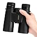 OMZER 10x42 Compact Binoculars for Adults - High Powered Binocular with BAK4 Prism FMC Lens - Large Eyepiece Hunting Binocular with Clear Low Light Vision for Bird Watching Hiking Camping Games