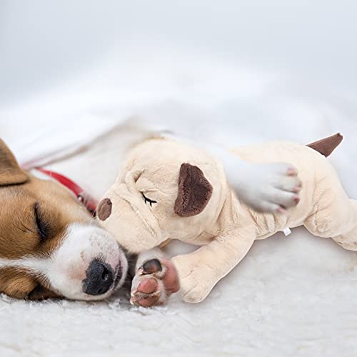 Dog Heartbeat Toy,Puppy Separation Anxiety Toy, Puppy Behavioral