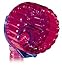 Kaytee CritterTrail Snap-On Comfort Wheel