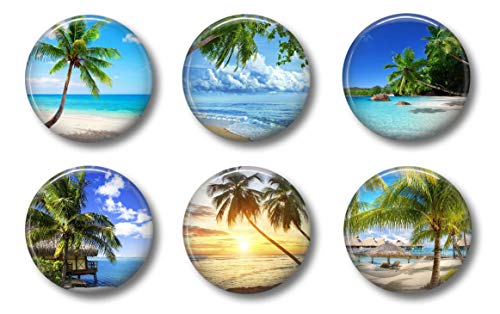Palm Tree Magnets - Ocean Beach Set - Cute Locker Magnets For Teens Fridge Whiteboard or Office