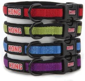 kong padded collar small