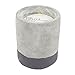 Paddywax Urban Collection Scented Soy Wax Candle, 3.5-Ounce, Fig & Olive