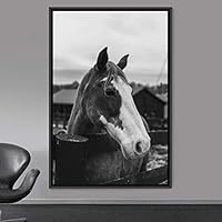 Framed Canvas Wall Art High Contrast Horse Animals Black and White Duotone Expressive Grey Horse Living Room Photography Rustic - 16x24 inches