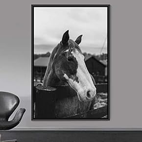 signwin Framed Canvas Wall Art High Contrast Horse...