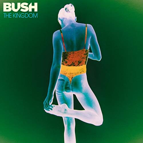 Bush - Razorblade Suitcase - Amazon.com Music