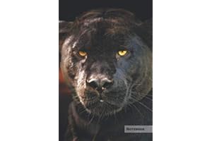 Jaguar Notebook: Unique Black Panther Jaguar Journal, Notebook for animal and big cats lovers (Blank Linear) great for kids, boys, girls, to writing ... lists, organizing and braindstorming.