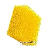 Eureka Electrolux Sanitaire Model 5840 Lite-Speed Vac Foam Filter Part # 71480