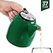 Tealyra - Drago Ceramic Teapot Green - 37oz (4-6 cups) - Large Teapot with Stainless Steel Lid Extra-Fine Infuser for Loose Leaf Tea - Lead-free - 1100ml