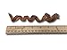 Bully Stick Spirals - 25 Springs From Top Dog Chews