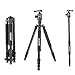 Zomei Z888C Professional Portable Metallic Color Carbon Fiber Tripod & Ball Head Compact Travel for All Canon Sony, Nikon, Samsung, Panasonic, Olympus, Kodak, Fuji, Cameras and Video Camera (Black)