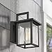 Emliviar Outdoor Wall Light, 1-Light Wall Sconce, Black Finish with Clear Glass, 20064B1