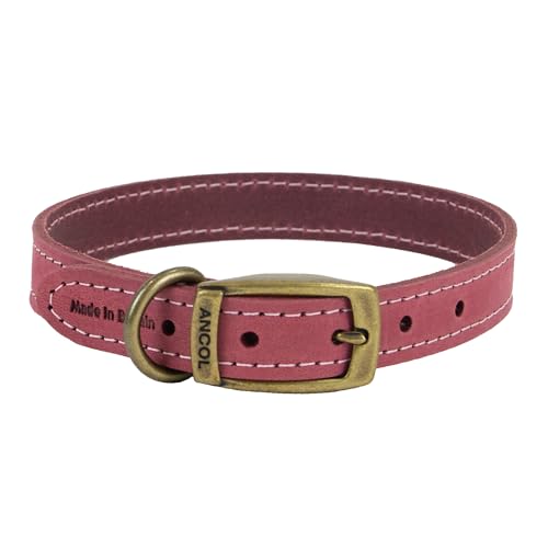 Ancol Timberwolf Premium Leather Dog Collar - Comfortable Durable Pet Training Accessory - Raspberry Bridle Leather - Soft Supple Waterproof Treated - 20-26cm Size 1