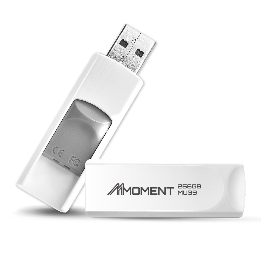MMOMENT MU39 256GB USB 3.1 Gen1 Flash Drive, Read Speed up to 100MB/s, Retractable Design Thumb Drive — image 1