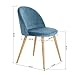 GreenForest Dining Chairs Set of 2, Mid Century Modern Kitchen Chairs Velvet Upholstered Accent Leisure Chairs for Living Room, Blue