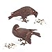 Achla Designs DOV-01 Pair Garden Animal Statuary Ornament Dove Bird, Antiqued Bronze