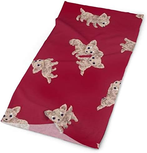 Outdoor Multifunctional Dog Bandana Headwear Sports Headband Magic Scarf Mens Womens