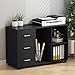 Tribesigns 3-Drawer File Cabinets, Large Wood Mobile Lateral Filing Cabinets Printer Stand with Storage Shelves and Wheels for Home Office (Black)