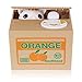 Cute Stealing Coin Cat Money Box Panda Bank, White Cat