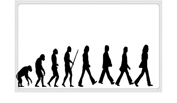 Evolución del Hombre de los Beatles muebles & decoración ...