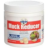 KoiWorx Muck Reducer, Dry Beneficial Bacteria, Reduces Muck, Sludge, Organic build up, 100% Natural Bacteria, Safe for Koi