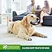 UpNature Hemp Dog Treats, Hemp Chews for Dogs, Calming Treats for Dogs, Stress Relief for Dogs, Dog Calming Aid, Composure Chews for Dogs, Made in The USA
