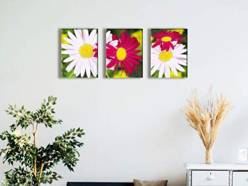 White and Red Daisies Canvas Print for Living Room Chrysanthemum Wall Art Decor Painting Pictures Artwork (12x16inch x3pcs)