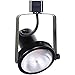 Direct-Lighting 50005 Black PAR30 Short Neck Gimbal Ring Line Voltage Track Lighting Head
