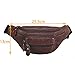 Polare Genuine Leather Fanny Pack/Waist Bag/Organizer (Classic Style)