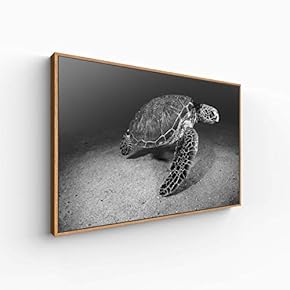 Canvas Wall Art for Living Room, Bedroom Animal Portrait Framed Canvas Prints for Home Decoration Ready to Hang - 16x24 inches