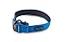 Classic Comfort Dog Collar Premium Nylon Neoprene Padded Dog Collar for Large Sized Dog Comfortable Collar for Your Dog by Wagtime Club. (Bright Blue) L