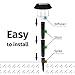 Solar Garden Lights Outdoor, Led Stake Lighting Solar Powered Pathway, Walkway, Patio and Landscape 15 Lumens Bright, Waterproof, Durable 8-Pack