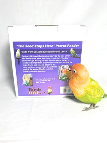 5 Birds+LOVE+Lovebirds+Cockatiels+Conures+Bird