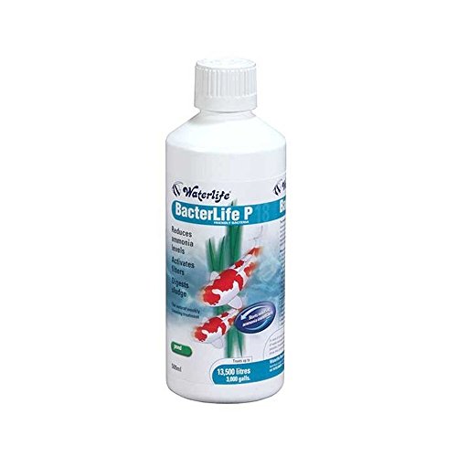 WaterlifeBacterlife Pro Friendly Bacteria