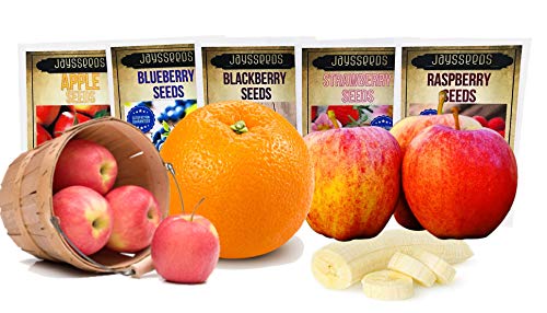 Plenty Fruit Combo Pack Lemon Tree, Banana Tree, Strawberry, Apple Tree, Blueberry (Organic) 295+ Seeds & 7 Plant Markers