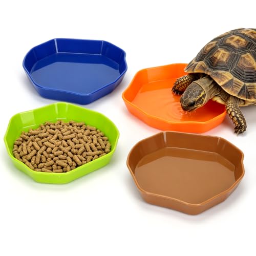 SUGMAILEY Shallow Reptile Food Plate