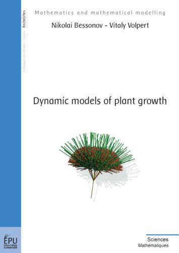 Dynamic models of plant growth