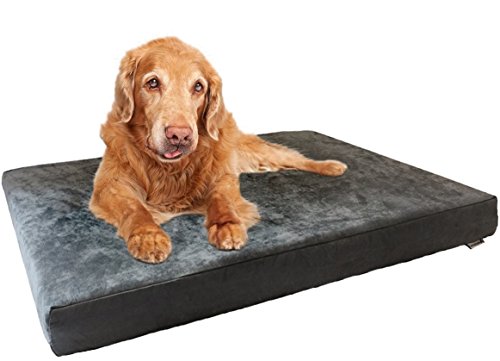 Dogbed4less Heavy Duty Orthopedic Memory Foam Pet Bed with Waterproof Internal Case + 2 Washable Microsuede External Cover for Large Dog