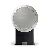 Bose Virtually Invisible 191