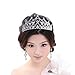 Thmyo Rhinestones Crystal Wedding Bridal Pageant Hair Jewelry Princess Tiara Crown Birthday Headband (Silver)