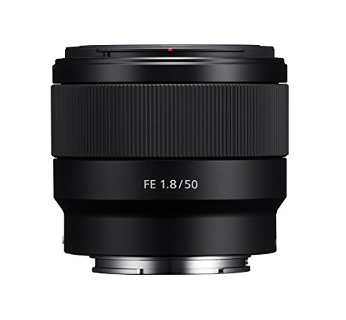 Sony-Alpha-a6300-Mirrorless-Digital-Camera-w-SELP1650-16-50mm-SEL50F18-50mm-F18-Lens-Bundle