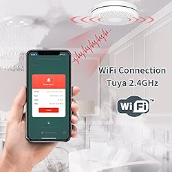 Smart WiFi CO and Smoke Alarm Detector 2 in 1