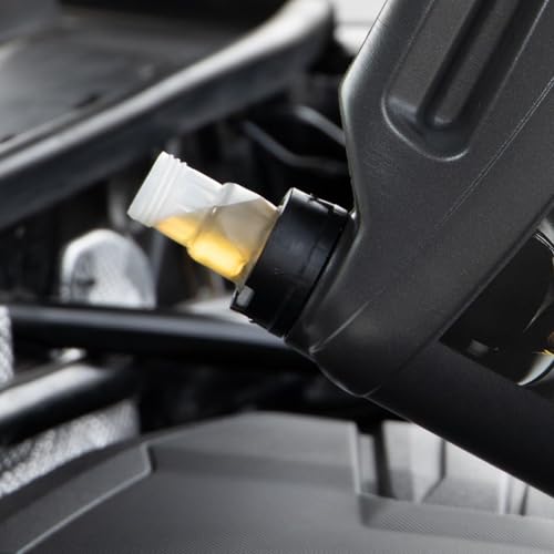 NIGRIN Motorenöl 5W-30 LongLife III | 6 Liter | für Pkw- Otto- und Dieselmotoren einschließlich Partikelfilter, Mehrbereichsmotoröl auf HC-Synthese Basis, VW 504 00/507 00/503 00/506 00 10