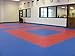 We Sell Mats - JUMBO Martial Arts Anti-fatigue Interlocking EVA Foam MMA Exercise Gym Flooring Tiles